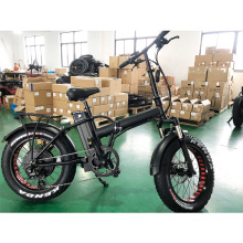 20 Inch 48V 1000W Fat Tire Folding Electric Bicycle